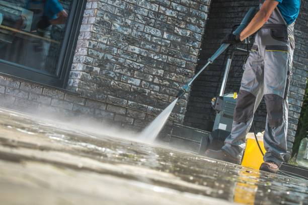 Best Gutter Cleaning  in Northampton, PA